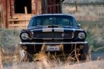 1966 Shelby GT-350H